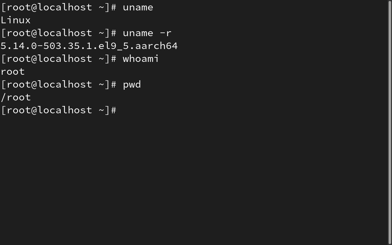 current working directory