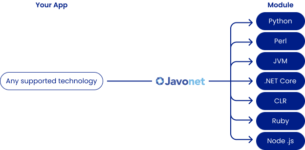 Build Language-Agnostic Plugins and Extensions Effortlessly with Javonet