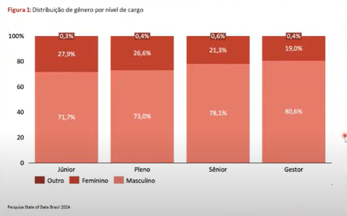Gráfico com a distribuição de gênero por nível de cargo