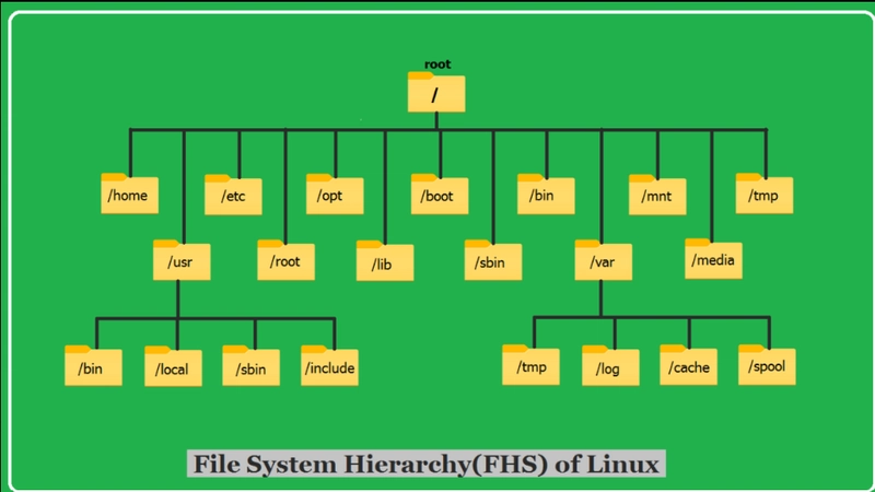 Understanding Linux and Its Directory Structure