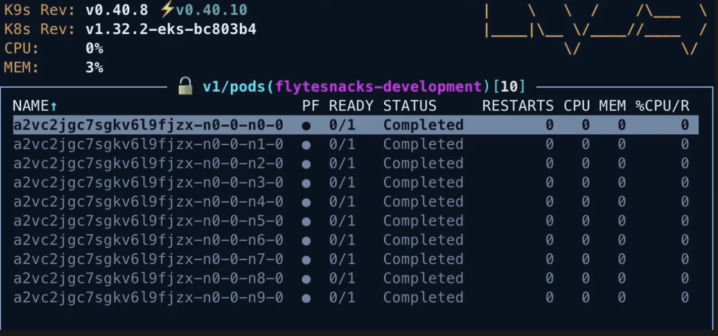 K8s Pods created in the namespace of this execution