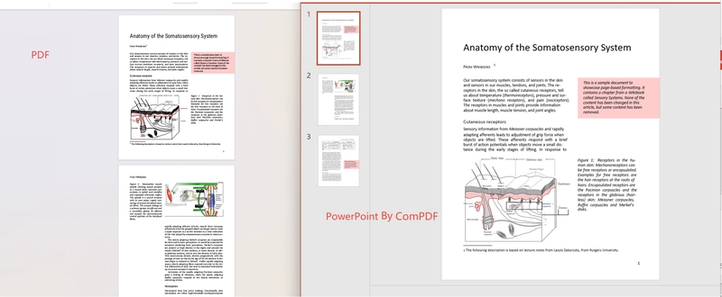 Two Efficient Methods for Converting PDF to PPT - AI Tools Included