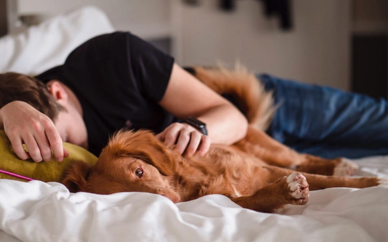 The Sleep Factor: How to Improve Mental Acuity and Memory
