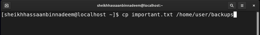 Linux cp command