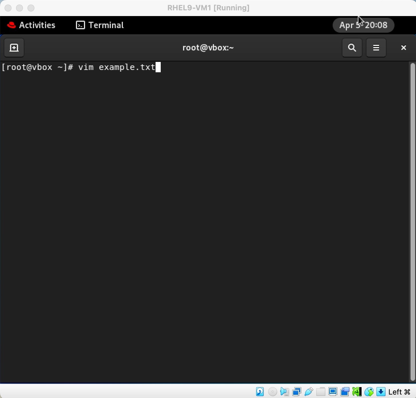 Screen Shot of vim file creation