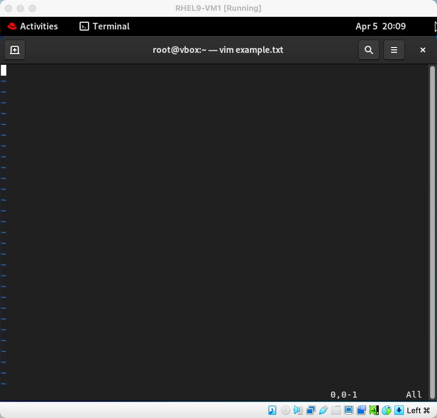 screen shot before vimrc creation
