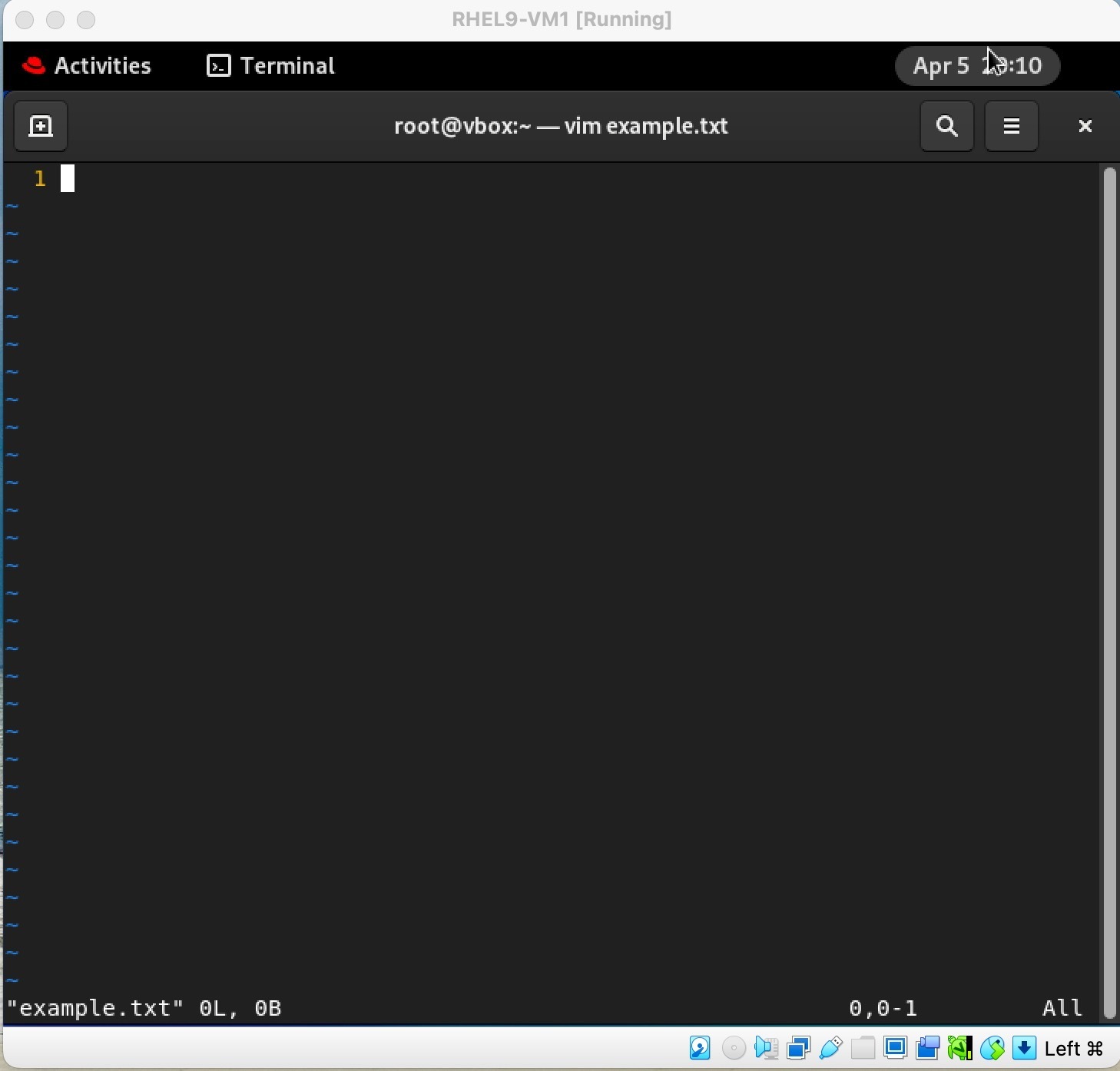 screen shot after vimrc creation