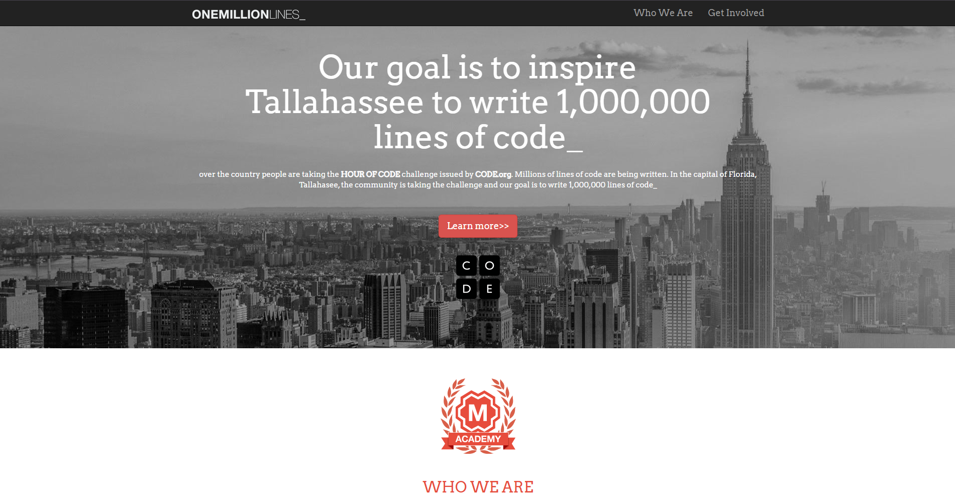 website screenshot
