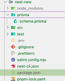 Connecting Database with NestJS Using Prisma ORM
