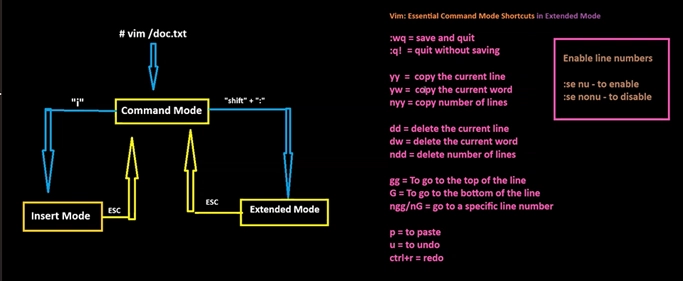Mastering Vim: The Underrated Power Tool for IT and Business Professionals