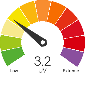 UV Index