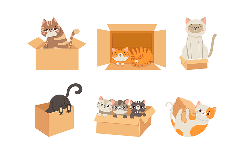 cats