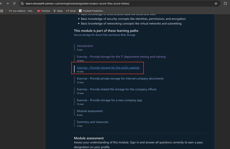Step-by-step guide on how to provide storage for the public website on the Azure portal.