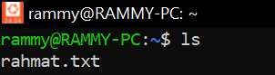 EXPLORING BASIC LINUX COMMANDS: MY LEARNING JOURNEY