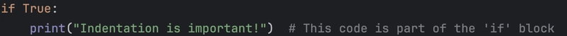 Basic Syntax of Python 3