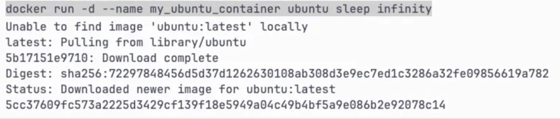 How to use docker exec to interact with running containers