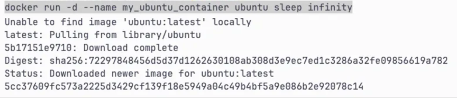 getting started with docker exec