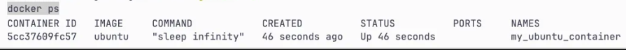verify docker container is running