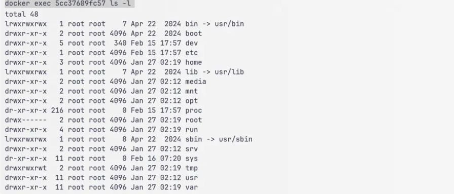 ubuntu container command output