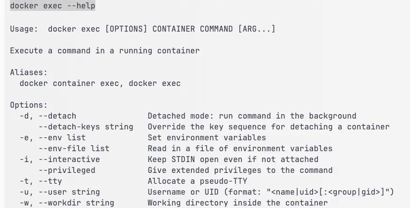 docker-exec-help-flag