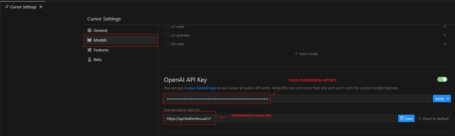 Custom API Settings