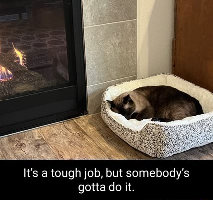 Tough Job