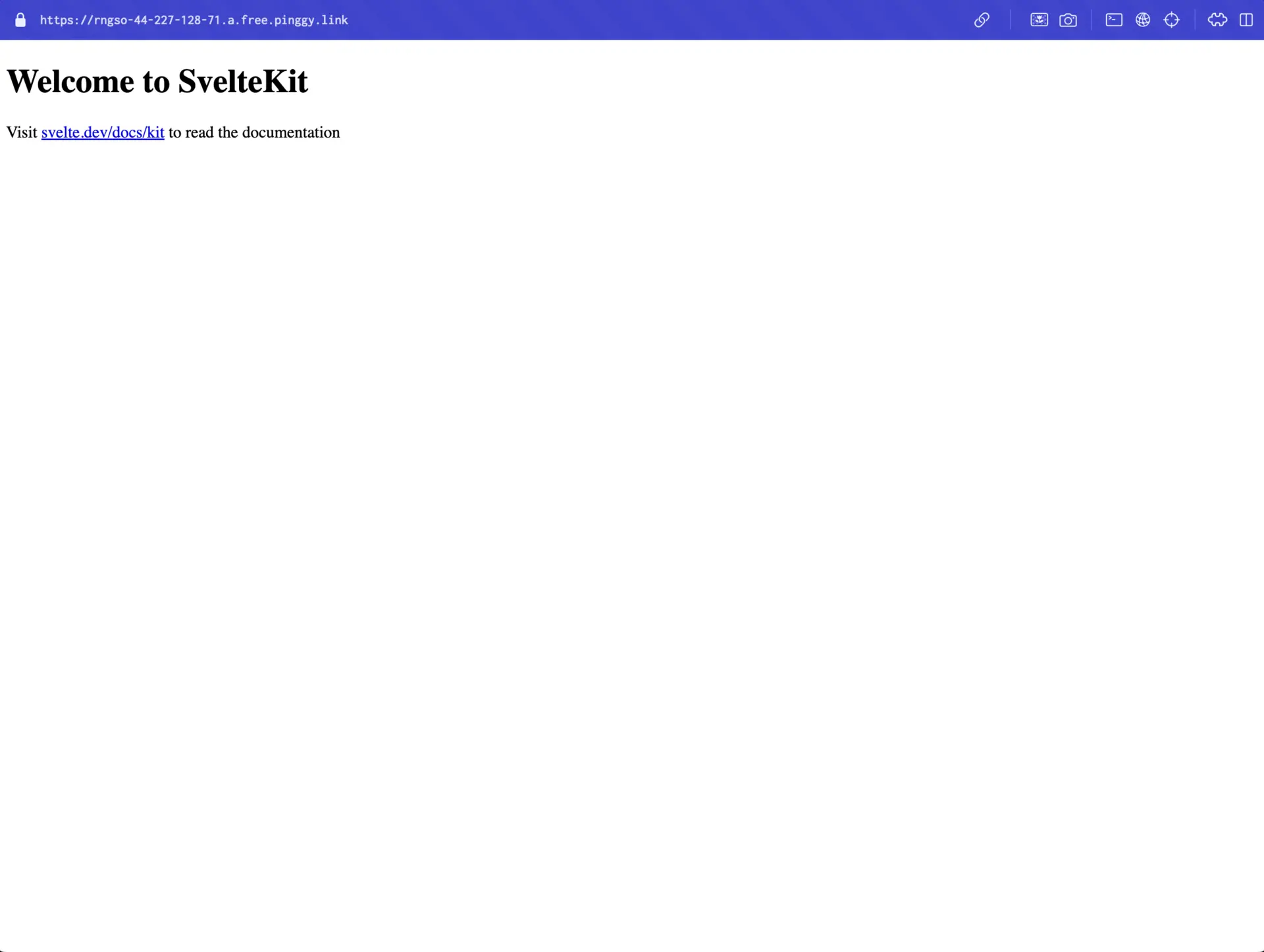 App with Pinggy