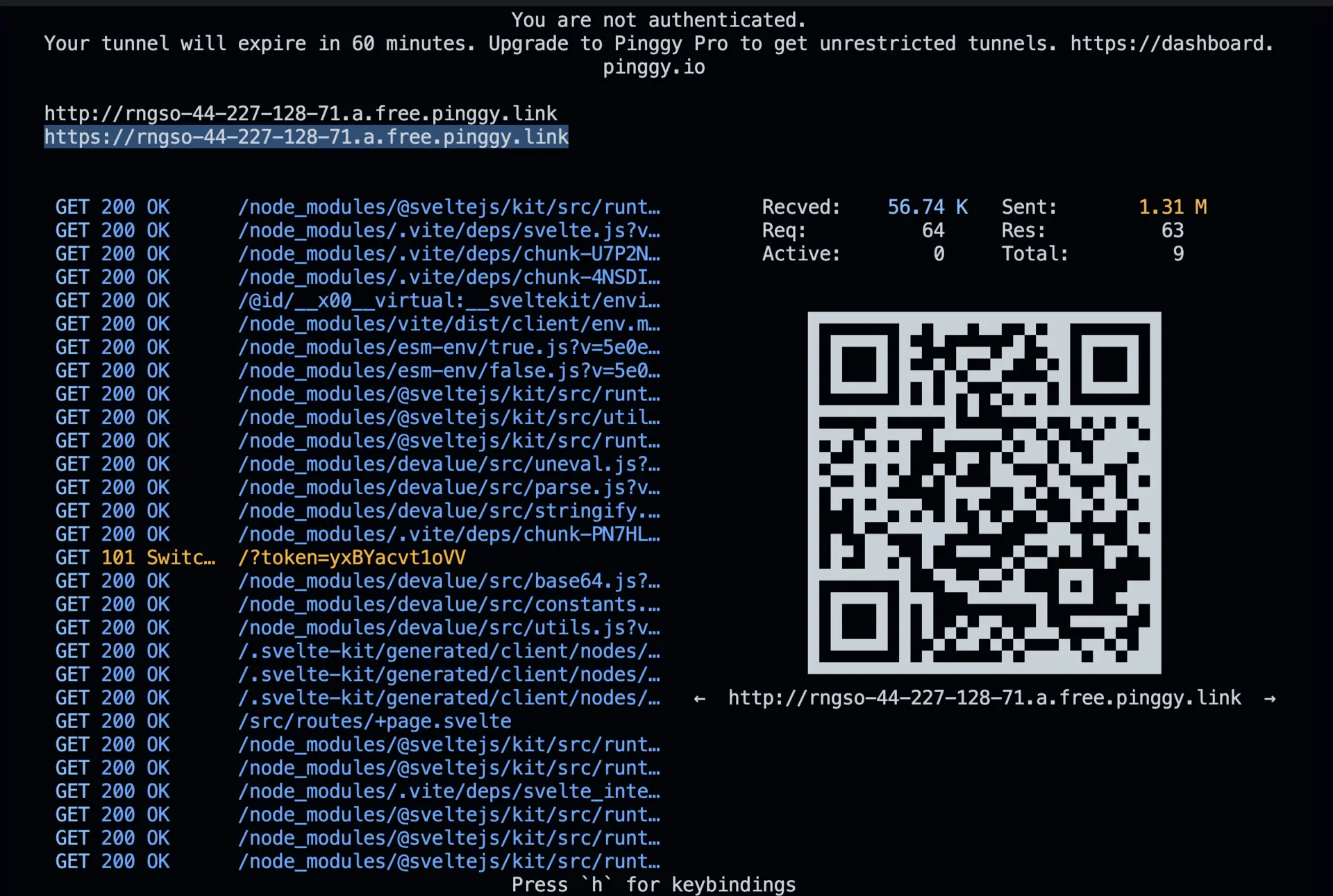 Pinggy Tunnel Output
