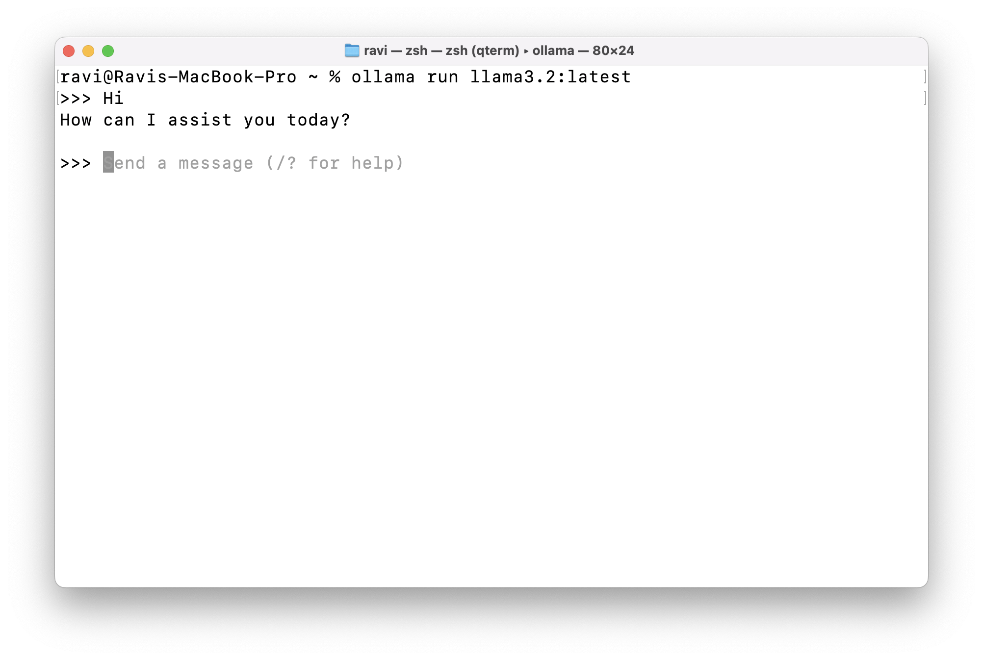 Example of the chat