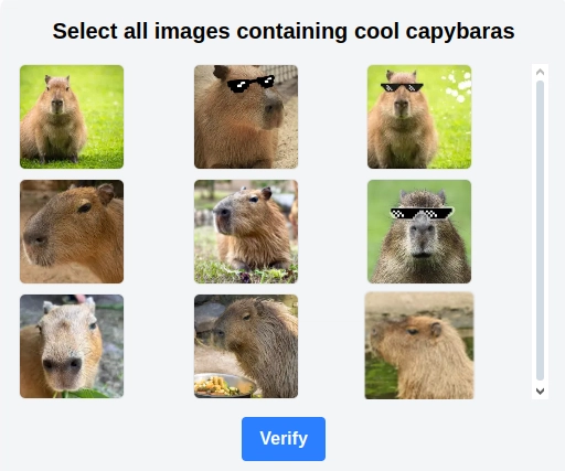 Introducing CapyCaptcha: The Next Generation of Bot Protection 🛡️🐾