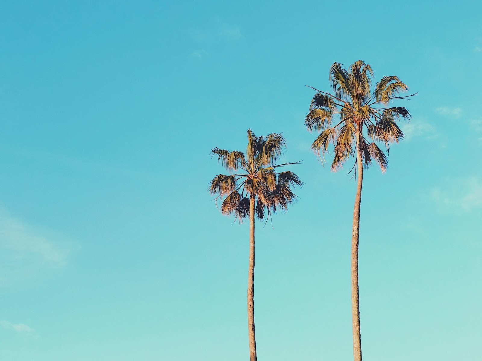 Photo by Gilberto Olimpio / Unsplash