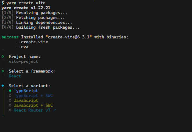 An image that shows the select a variant step in vite setup