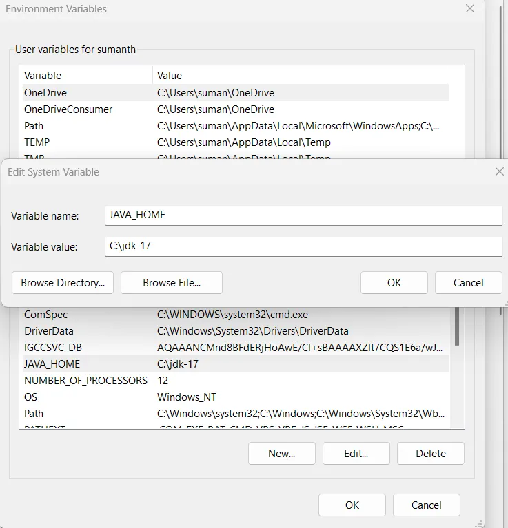 Set JAVA_HOME