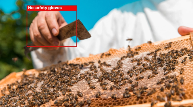 Revolutionizing Beekeeping with AI-Powered Computer Vision
