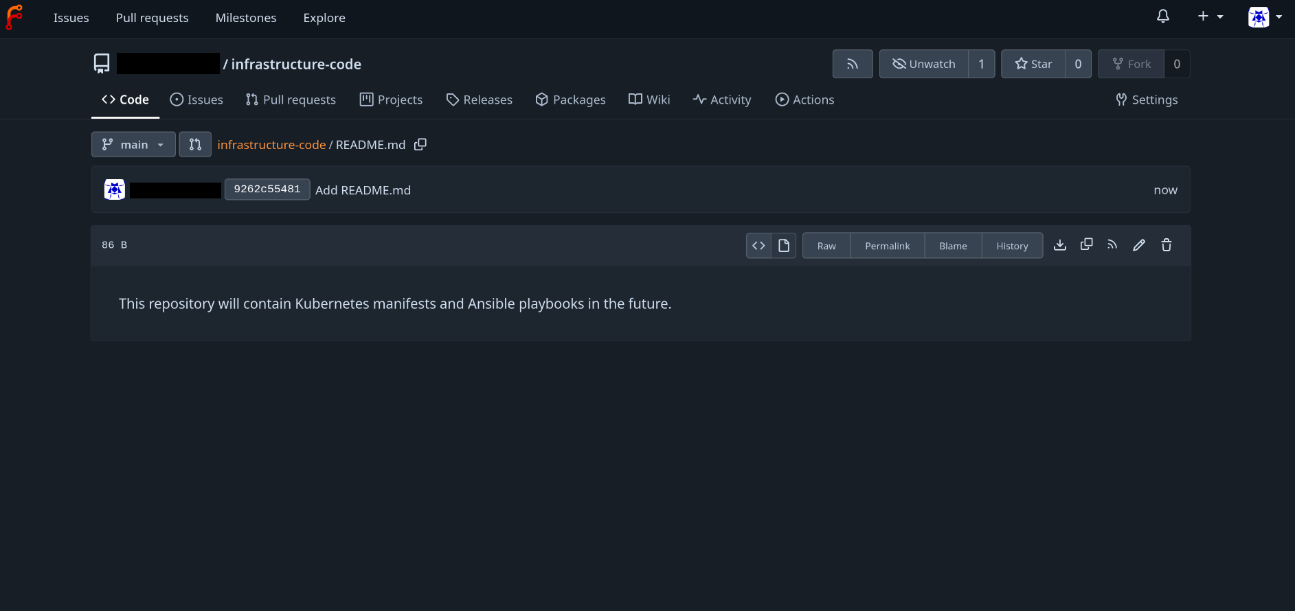 image of a Forgejo future ansible and helm repository