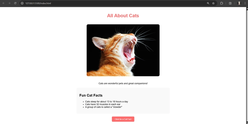 Deploy A Simple Cat Website to Azure 🐱
