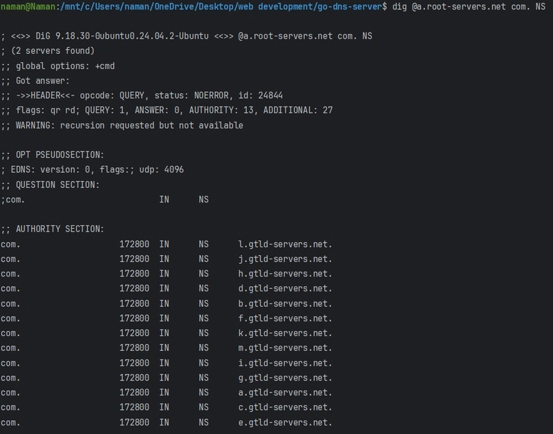 DNS Explained: From Basics to Building My Own DNS Server