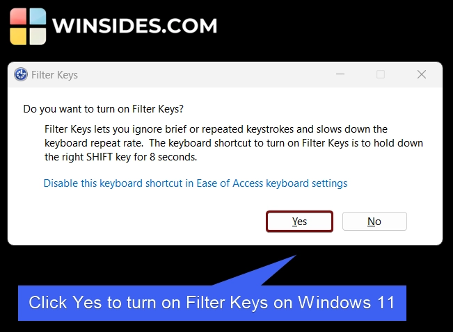 Do you want to turn on filter keys on Windows 11