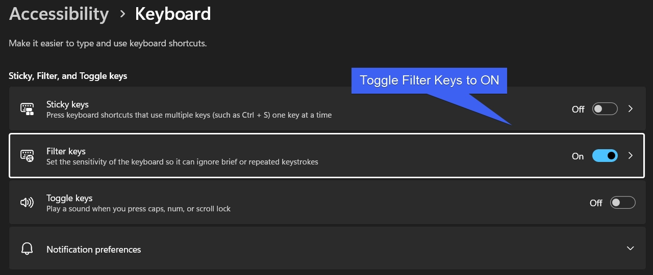 Toggle Filter Keys to ON