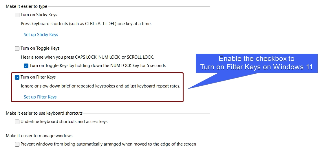 Enable the checkbox to activate Filter Keys on Windows 11