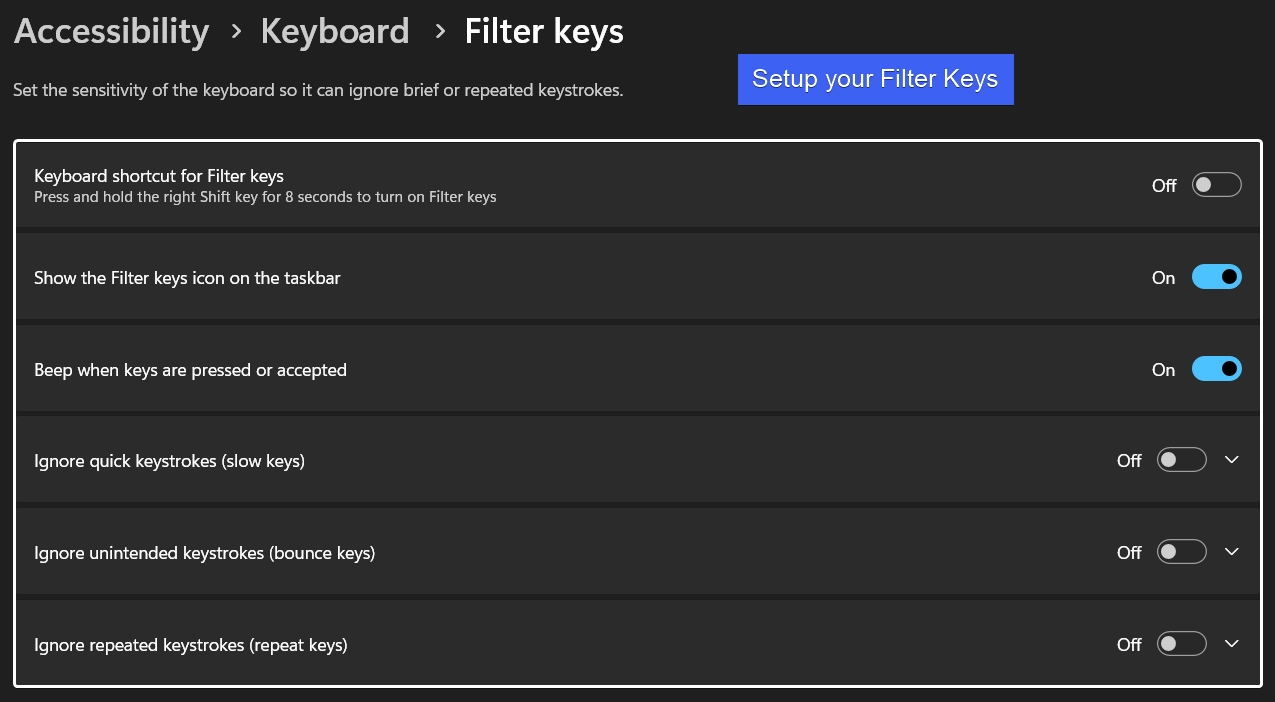 Setup your Filter Keys via the Windows Settings