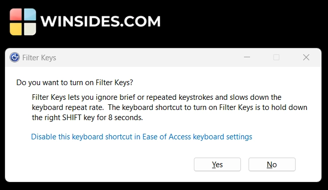 Do you want to turn on Filter Keys?