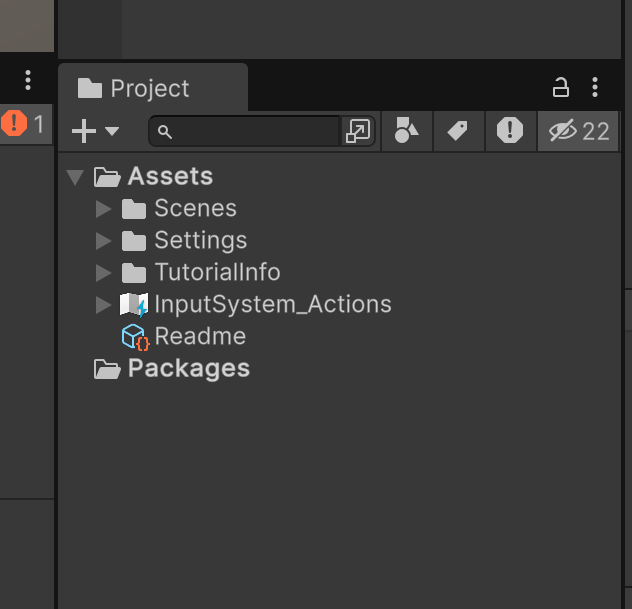 Project Window