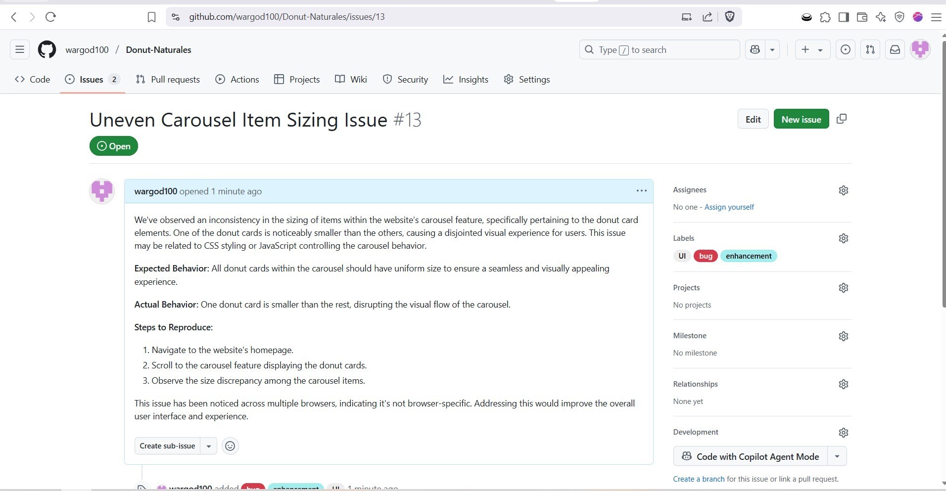 Github Issue