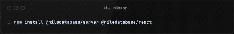 Introducing Nile Auth for B2B apps