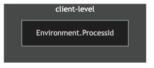 dotnet cross-platform interop with C via Environment.ProcessId system call