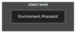 client-level diagram showing Environment.ProcessId call