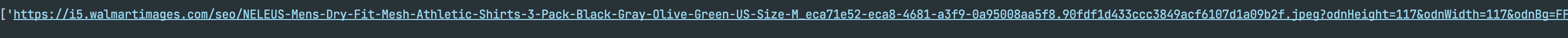 Walmart image scrpaping output