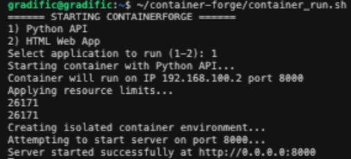 Screenshot_Python_Server_running