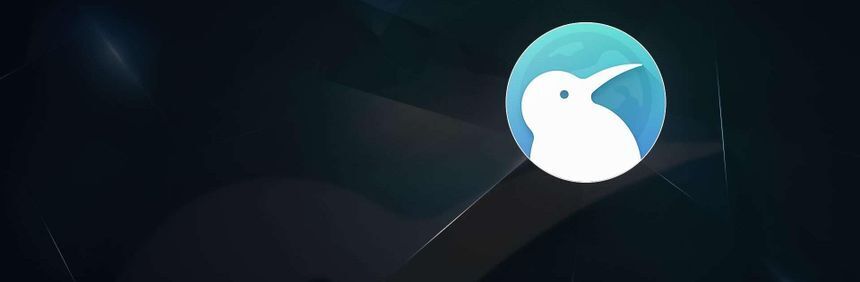 Kiwi Browser